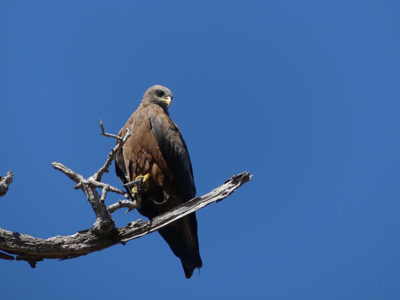 Tour opérateur spécialisé en voyage touristique